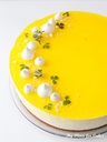Cheese cake
